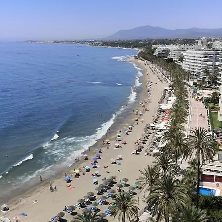 Skol 320c By Completely