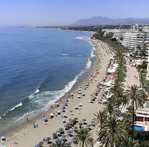 Skol 320c By Completely