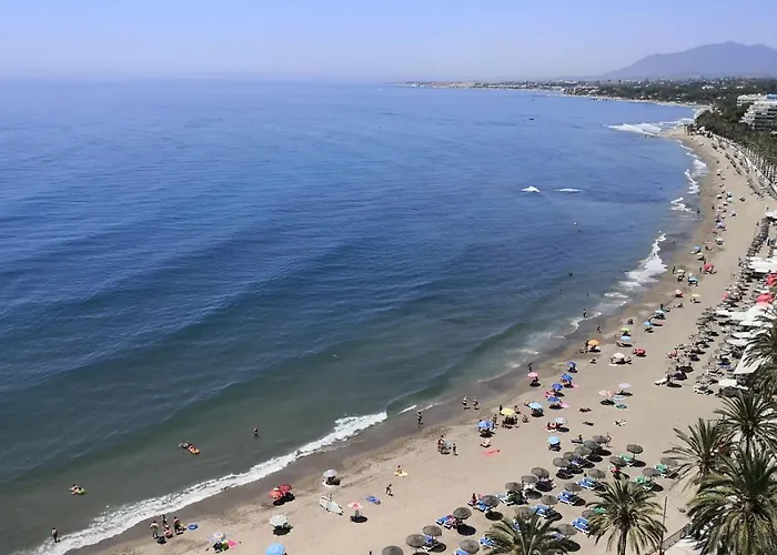 Skol 320c By Completely